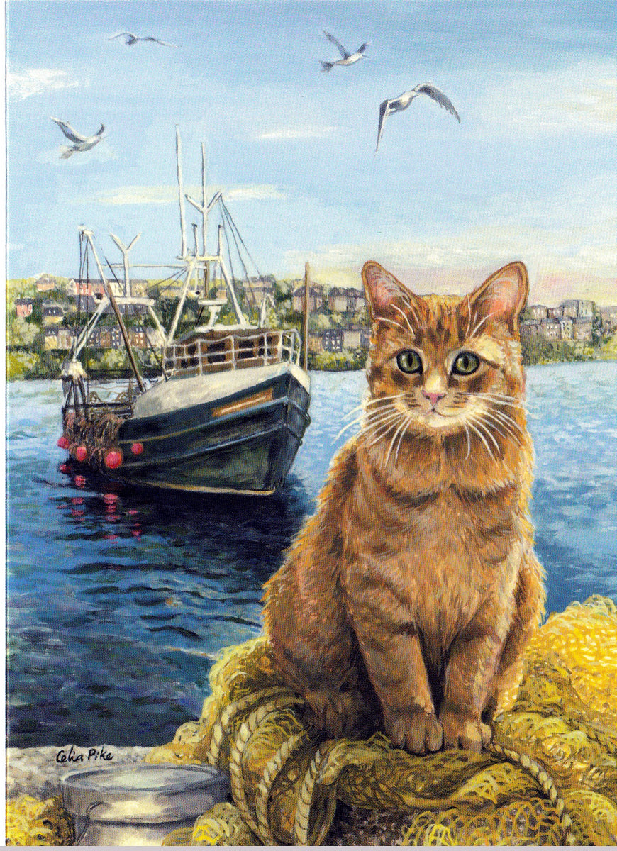 Ship's Cats Print Fisherman's Cat – Old Royal Naval College Shop