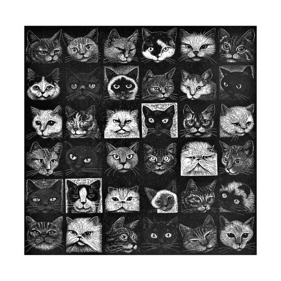 Another Cat Show