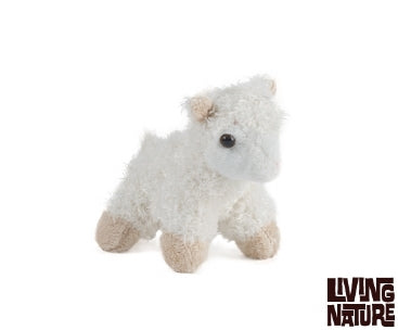 Mini Buddy Lamb