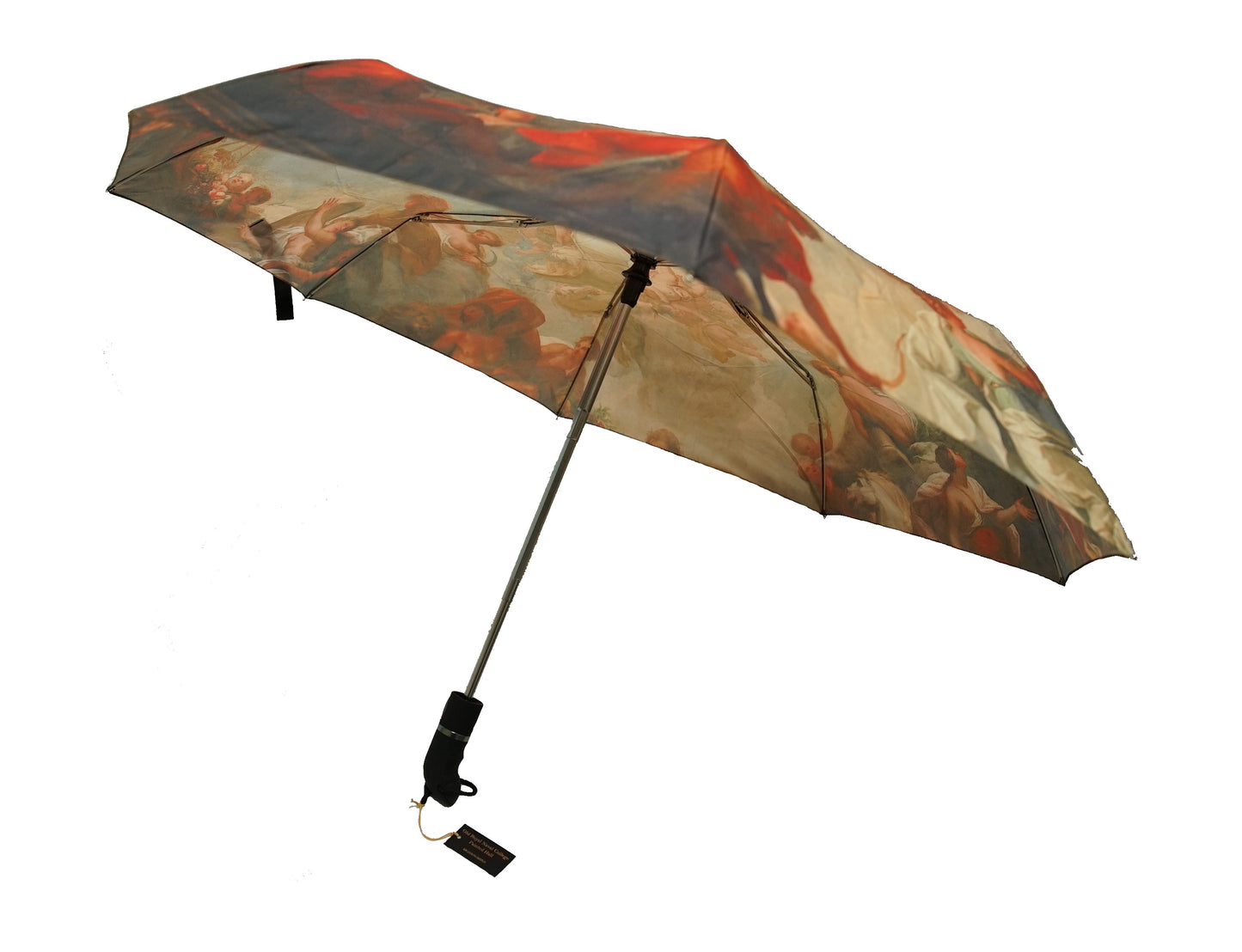 The Ceiling Umbrella