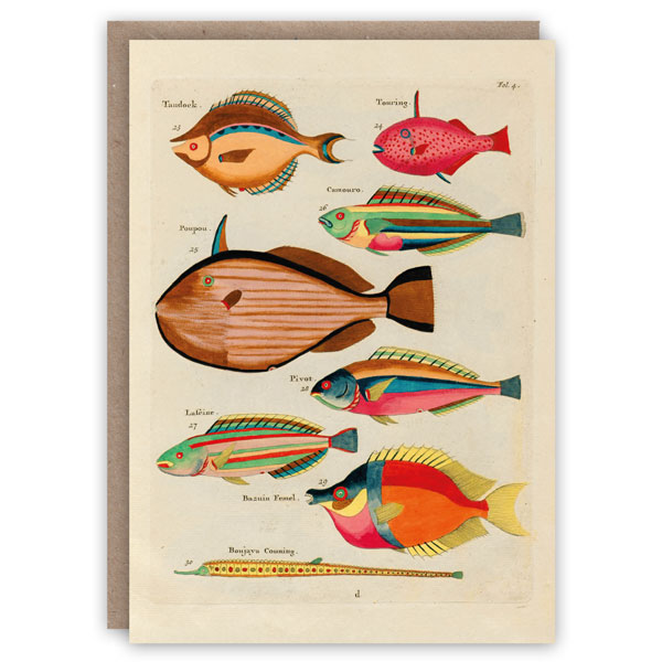 Renard Fish