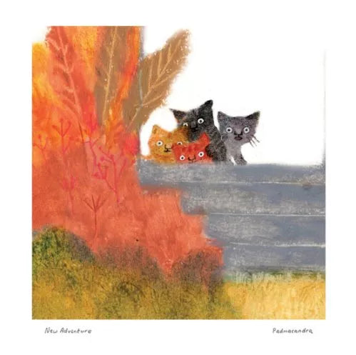 New Adventures Kittens