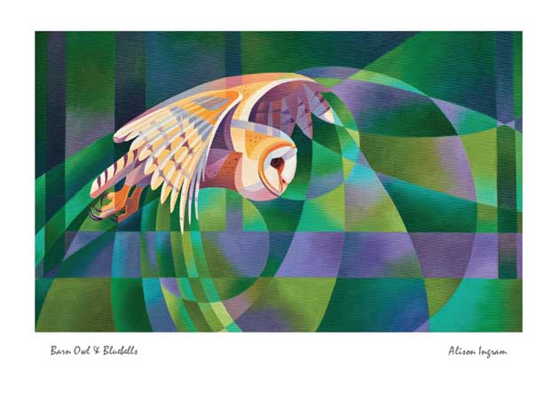 Barn Owl and Bluebells