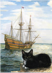 Ship's Cats Print Felix of Mayflower II