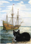 Ship's Cats Felix of Mayflower II