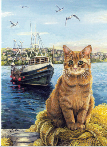 Ship's Cats Fisherman's Cat