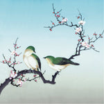 Plum Blossom Birds