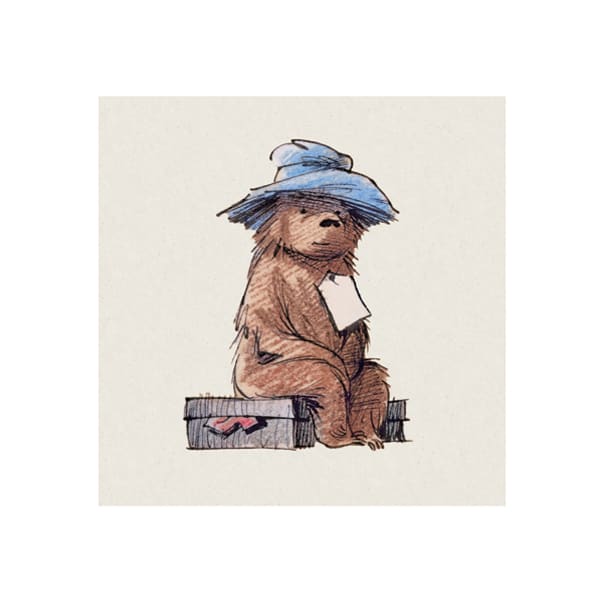 Paddington Sitting on his Suitcase