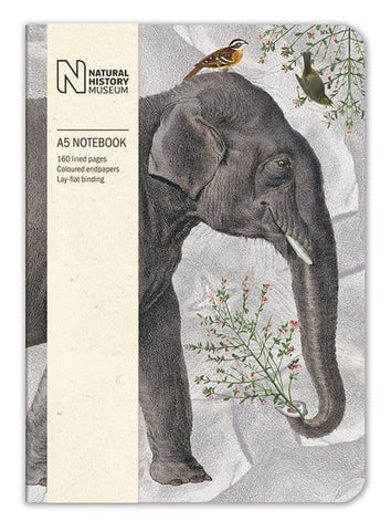 Elephant A5 Notebook