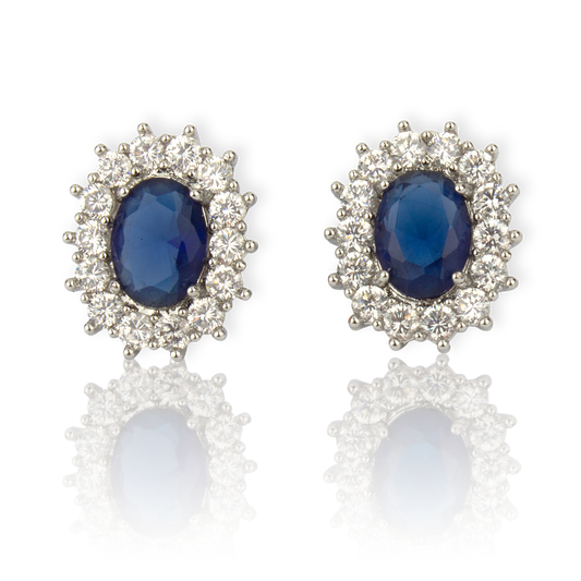 Dark Blue Earrings