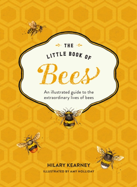 The Little Book of Bees : An Illustrated Guide to the Extraordinary Lives of Bees