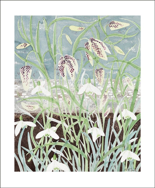 Fritillaries and Snowdrops