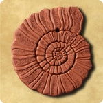 Ammonite Terracotta Tile