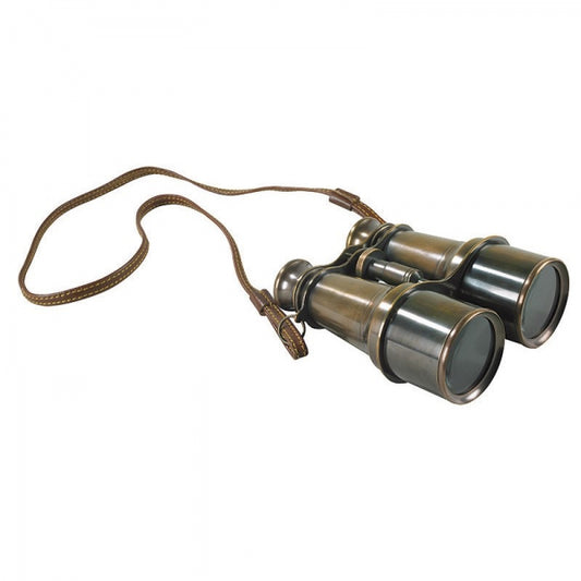 Victorian Binoculars, Bronze