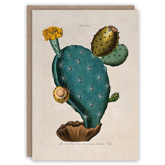 Prickly Pear