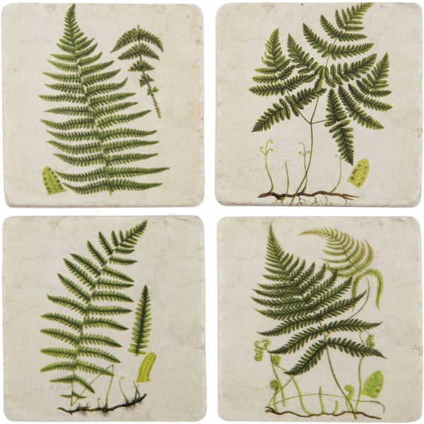 Green Fern Coasters