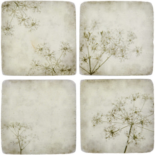 Gypsophila Coasters