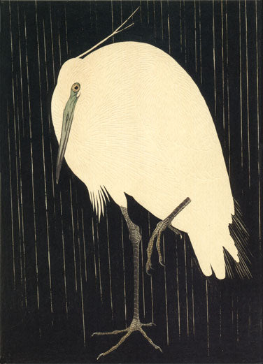 White Heron Standing in the Rain