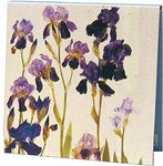 Notecards: Purple Irises and Red and Yellow Tulips