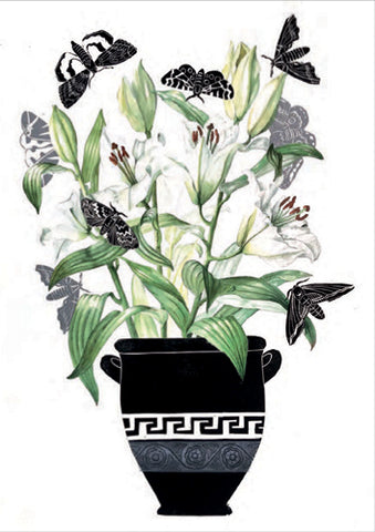 Lilies and Moths